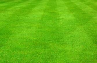 Grass Clipart Background Image
