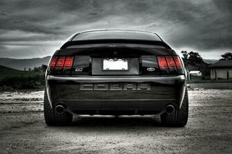 Svt Cobra Terminator Cool Cars Motorcycles