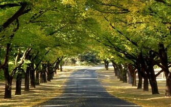 Best Desktop HD Wallpaper Autumn