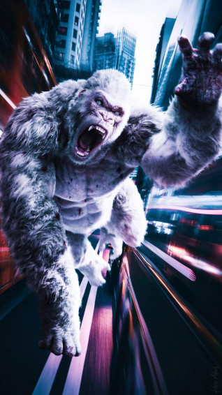 Jumping White Gorilla iPhone Wdi8k5jm9pv2mrhl Wallpaper