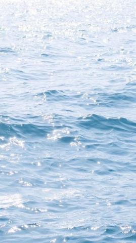 Bling Sunshine And Ocean Wallpaper