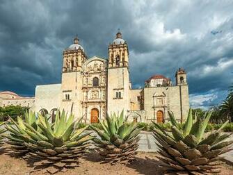 Photos Church Mexico Santo Domingo Oaxaca Temples Cactuses