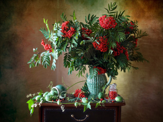 Photography Still Life HD Wallpaper