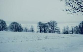 Snowscape Wallpaper