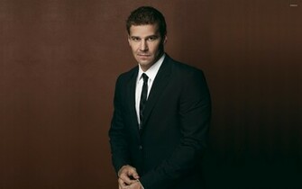 David Boreanaz Wallpaper Male Celebrity