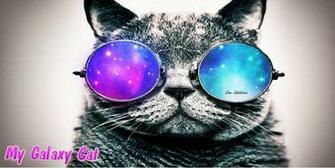 Galaxy Cat Wall My By