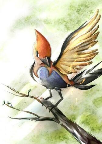 Fletchinder By Mi Gong94