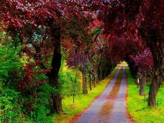 World Most Beautiful Places In The Wallpaper