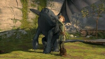 Toothless Train Your Dragon Hiccup Wallpaper