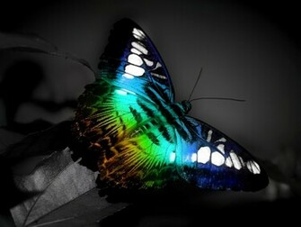 Cool Wallpaper Full HD 1080p Touch