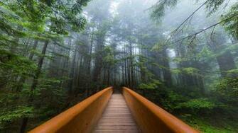 Lady Bird Johnson Grove Trail Proartinc