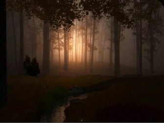 Sesshyswind Dark Woods Wallpaper
