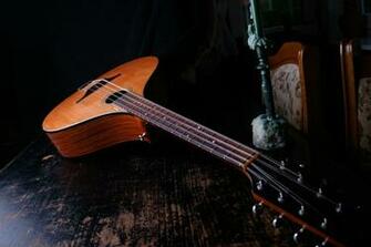Brown Lute Guitar Image