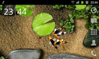 Wallpaper Live 3d