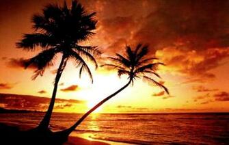 Tropical Beach Sunset Wallpaper