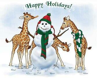 Giraffe Giraffes Animals Postcards