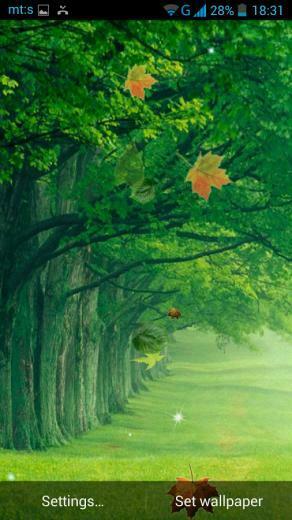 Forest Live Wallpaper