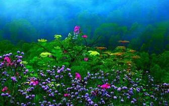 Dream Spring Rain Wallpaper HD