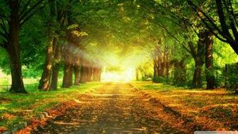 Autumn Path 4k HD Desktop Wallpaper For Ultra Tv Tablet