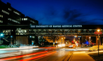 University Of Kansas Wallpaper