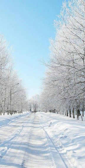 Unlock A Winter Wonderland With This Aesthetic Phone
