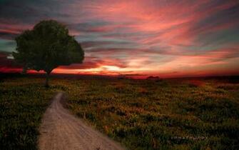 Best Nature Wallpaper Collection Ever For Dekstop
