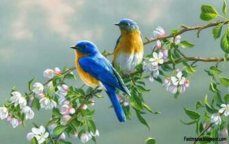 Beautiful Birds In Love Jpg