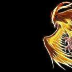 Pidgeot Wallpaper HD Full Pictures
