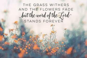 Bible Verse Laptop Wallpaper Top