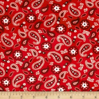 Minky Cuddle My Lil Buckaroo Bandana Red