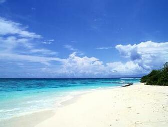 Nature Landscape Wallpaper
