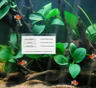 Gold Fish Animated Wallpaper This Is The Way Your Desktop Will Look