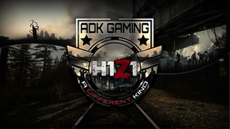 Hq H1z1 Background Wallpaper For