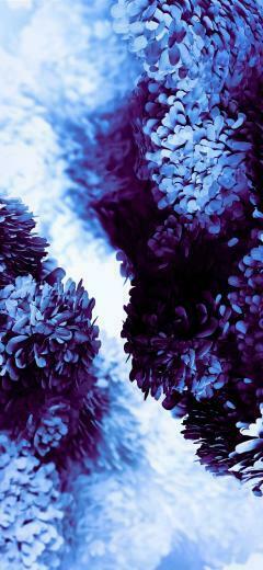 Samsung Galaxy S20 Wallpaper