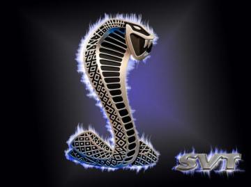 Mustang Cobra Logo Wallpaper For Your