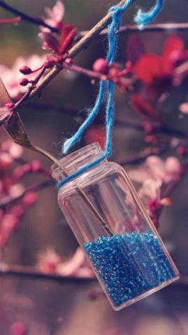 Nature Pink Blossom Plant Vintage Glass Bottle iPhone Wallpaper