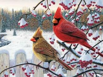 Cardinal Wallpaper Image Photo Picture