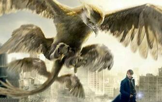 Fantastic Beasts And Where To Find Them Wallpaper HD Background