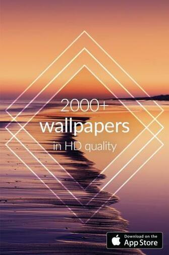 Amazing HD Wallpaper For Every Taste Explore Them All It S