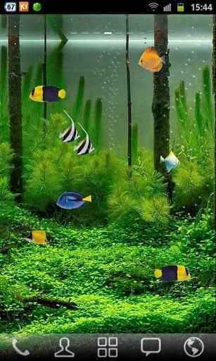 Aquarium Live Wallpaper For Android