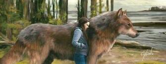 Bella And Wolf Jacob The Twilight Saga Fanart