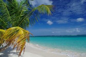 Wallpaper Flamenco Beach Culebra Puerto Rico Palms