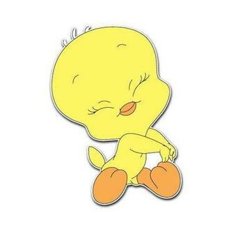 Tweety Bird Baby