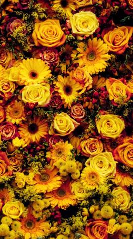 Fall Flower Wallpaper