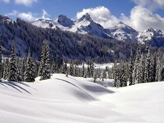 Winter Wonderland Dreamy Snow Scene Wallpaper No Desktop