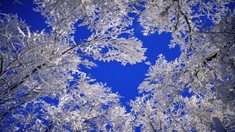 Stars HD Cool Wallpaper 1080p