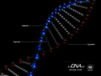Double Helix