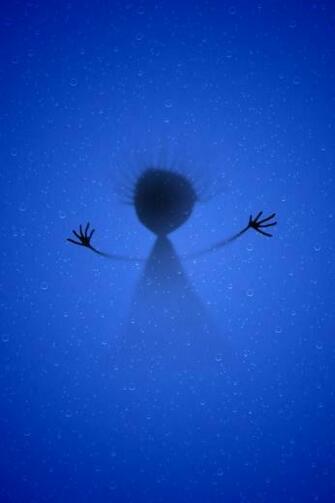 Blue Angel Abstract Wallpaper For iPhone