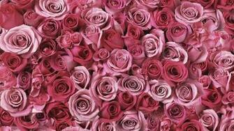Delle Rose Sfondo Animato