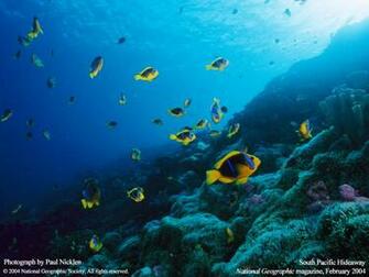 Wallpaper Lg1117 National Geographic Photography Desktop